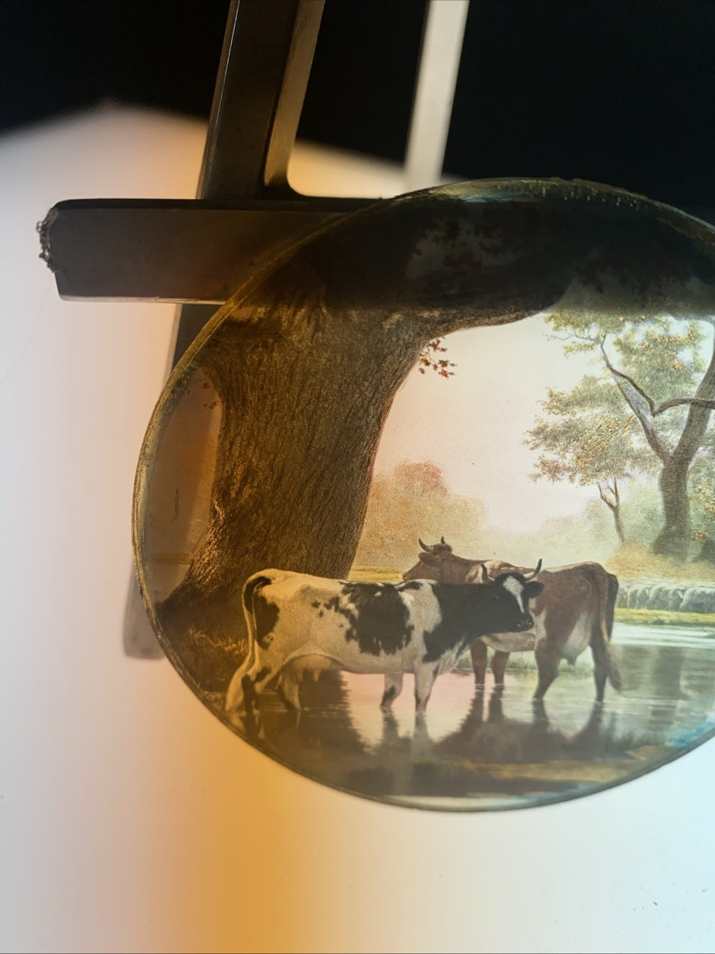 Magic Lantern Victorian Glass Round Handpainted Slide Cows in a stream (1151)