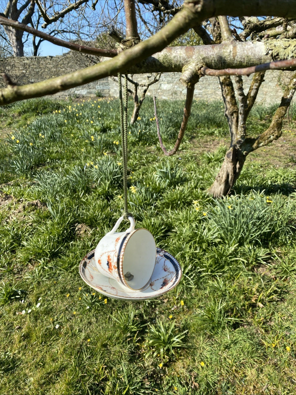Vintage Bone China Tea Cup and Saucer Bird Feeder Gift Design Varies - (1046)