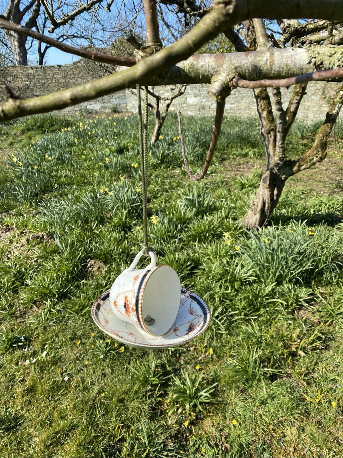 Vintage Bone China Tea Cup and Saucer Bird Feeder Gift Design Varies - (1046)