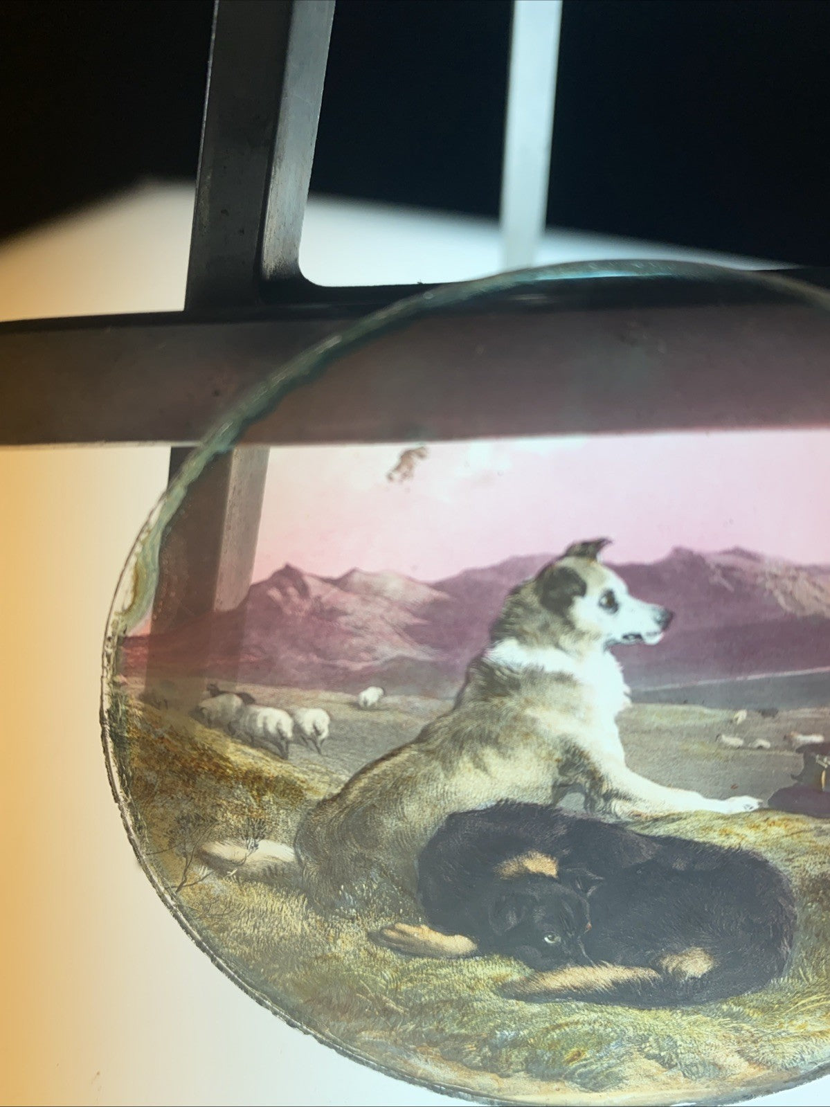 Magic Lantern Victorian Glass Round Handpainted Slide Two Dogs together (1149)