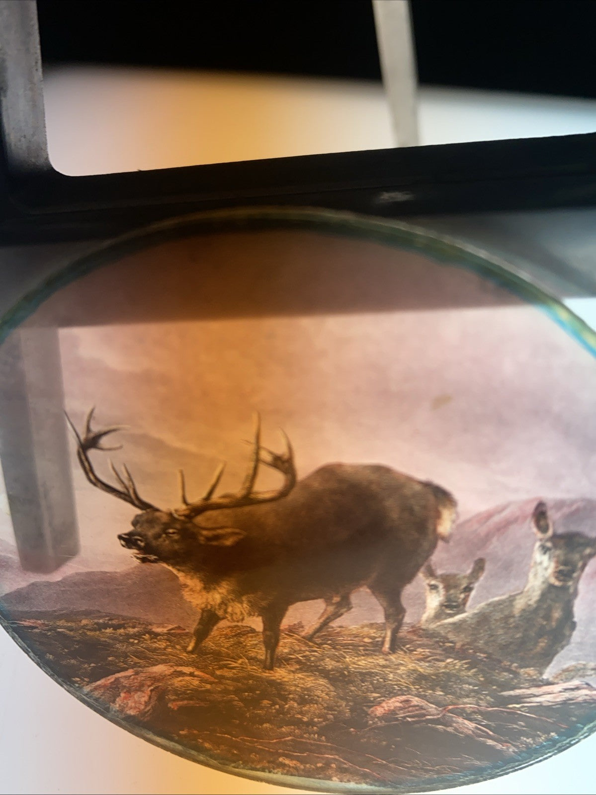Magic Lantern Victorian Glass Round Handpainted Slide Stag and deers (1105)
