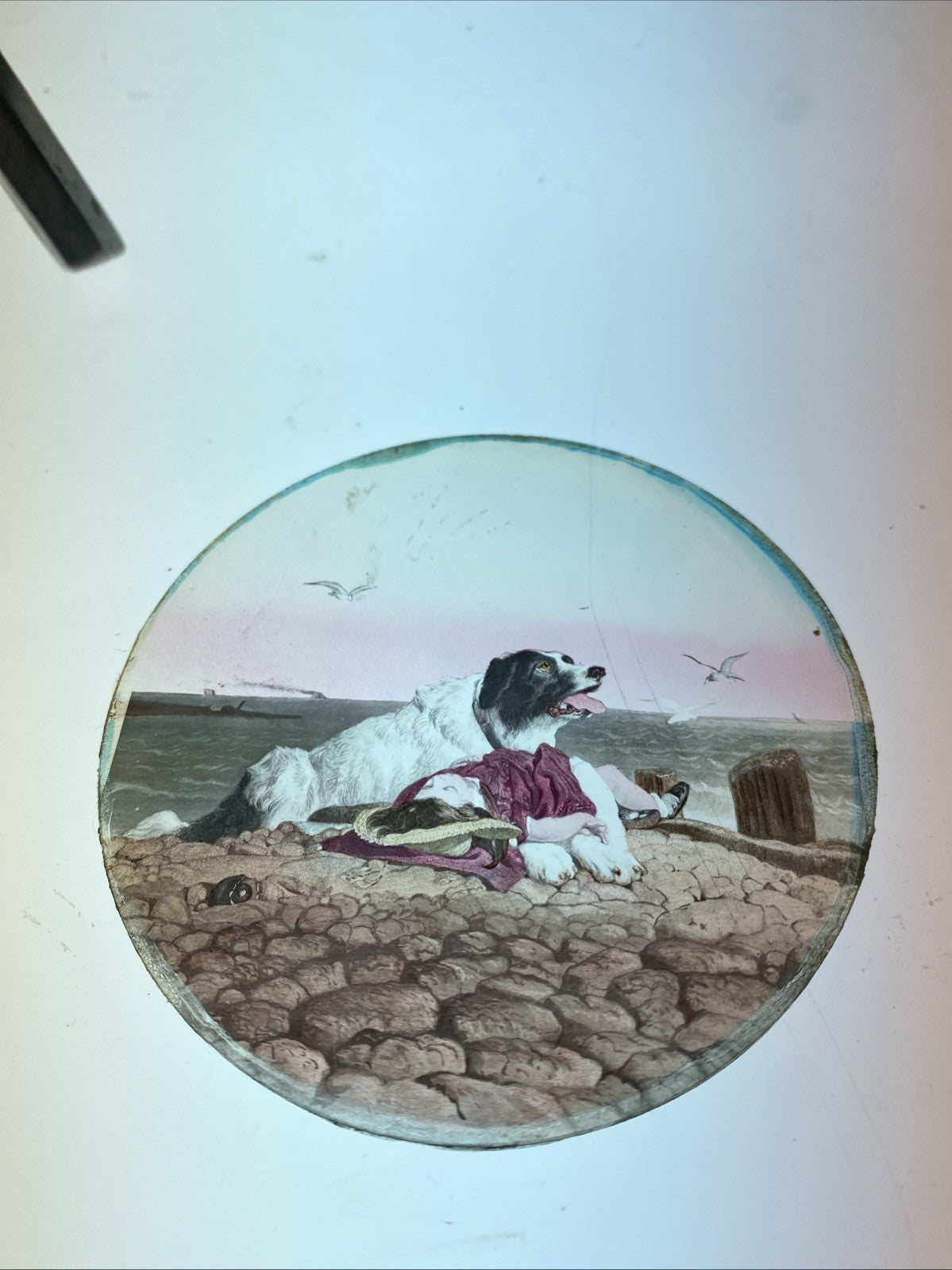 Magic Lantern Victorian Glass Round Handpainted Slide Guardian Dog & Child (1129