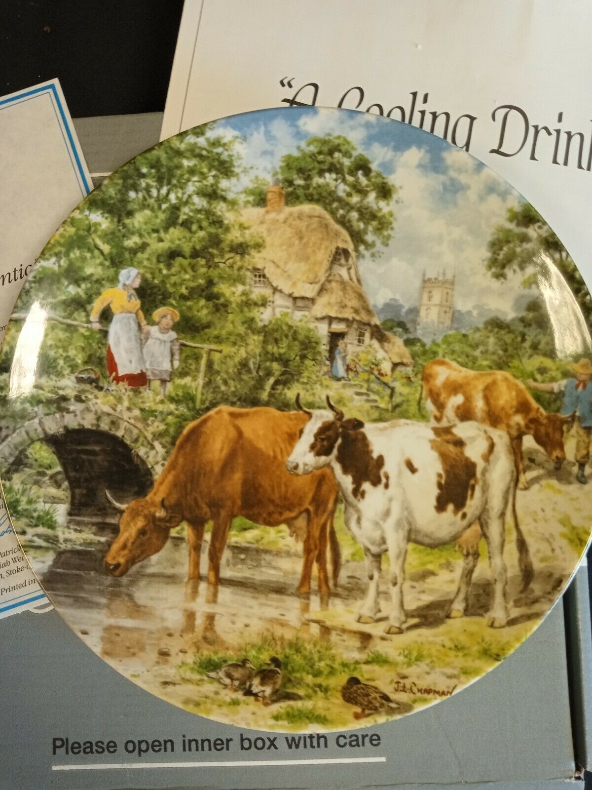Wedgwood Queensware Collectors Boxed Plate Limited Ed. 1989 Cooling Drink (7877)