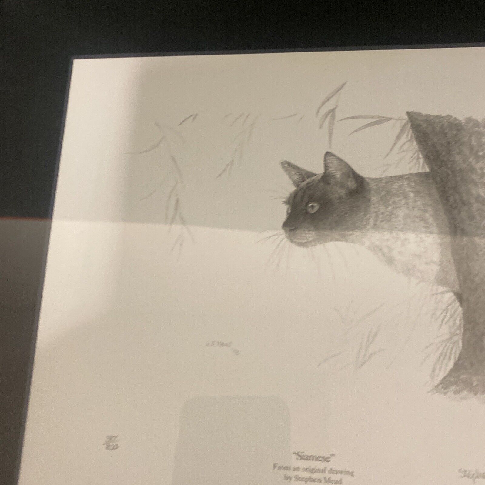 Stephen Mead Pencil Print Siamese #387/850 Framed - (9098)