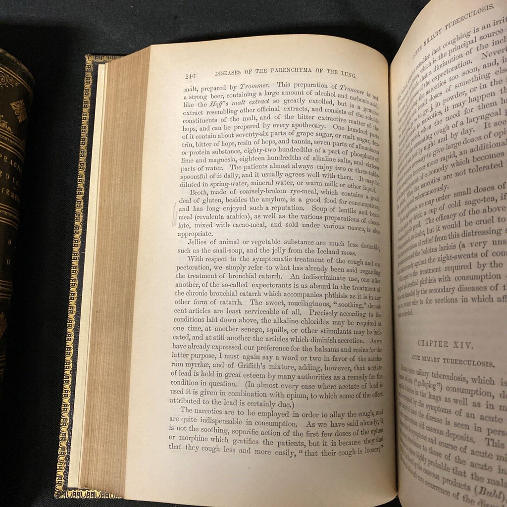 Dr Felix Niemeyer Practical Medicine and Anatomy Vol 1&2 1872 Books (5275)