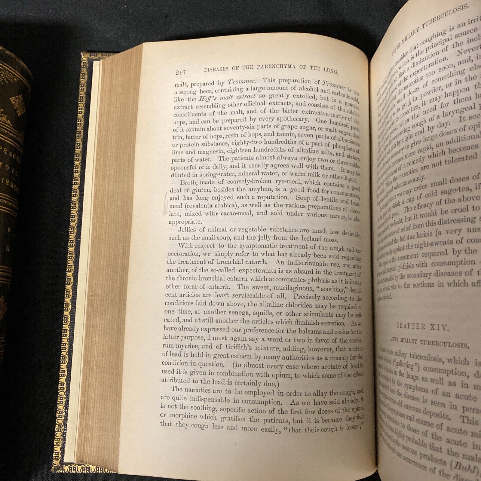 Dr Felix Niemeyer Practical Medicine and Anatomy Vol 1&2 1872 Books (5275)