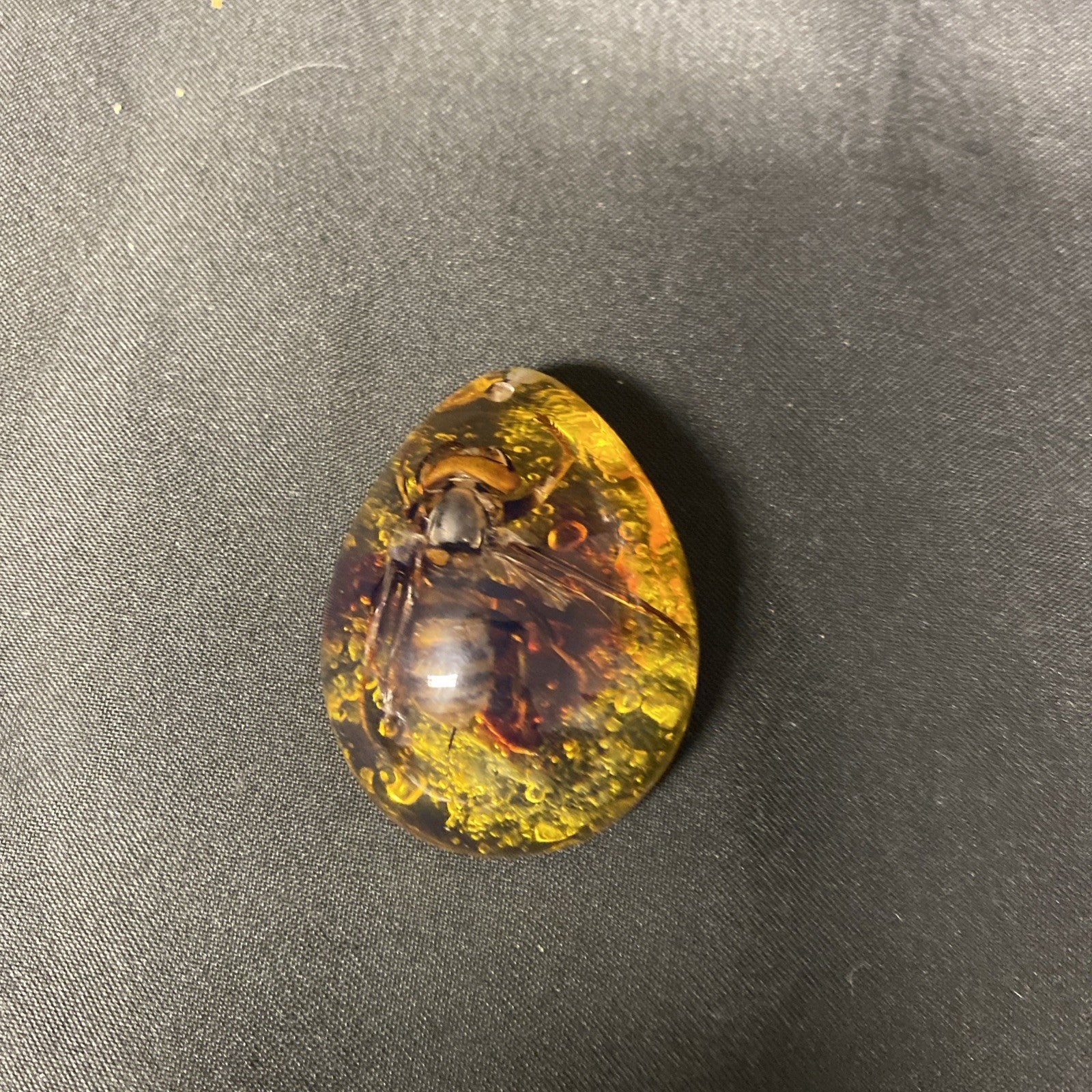 Beautiful Vintage Preserved Hornet In Amber Necklace Pendant - (1673)