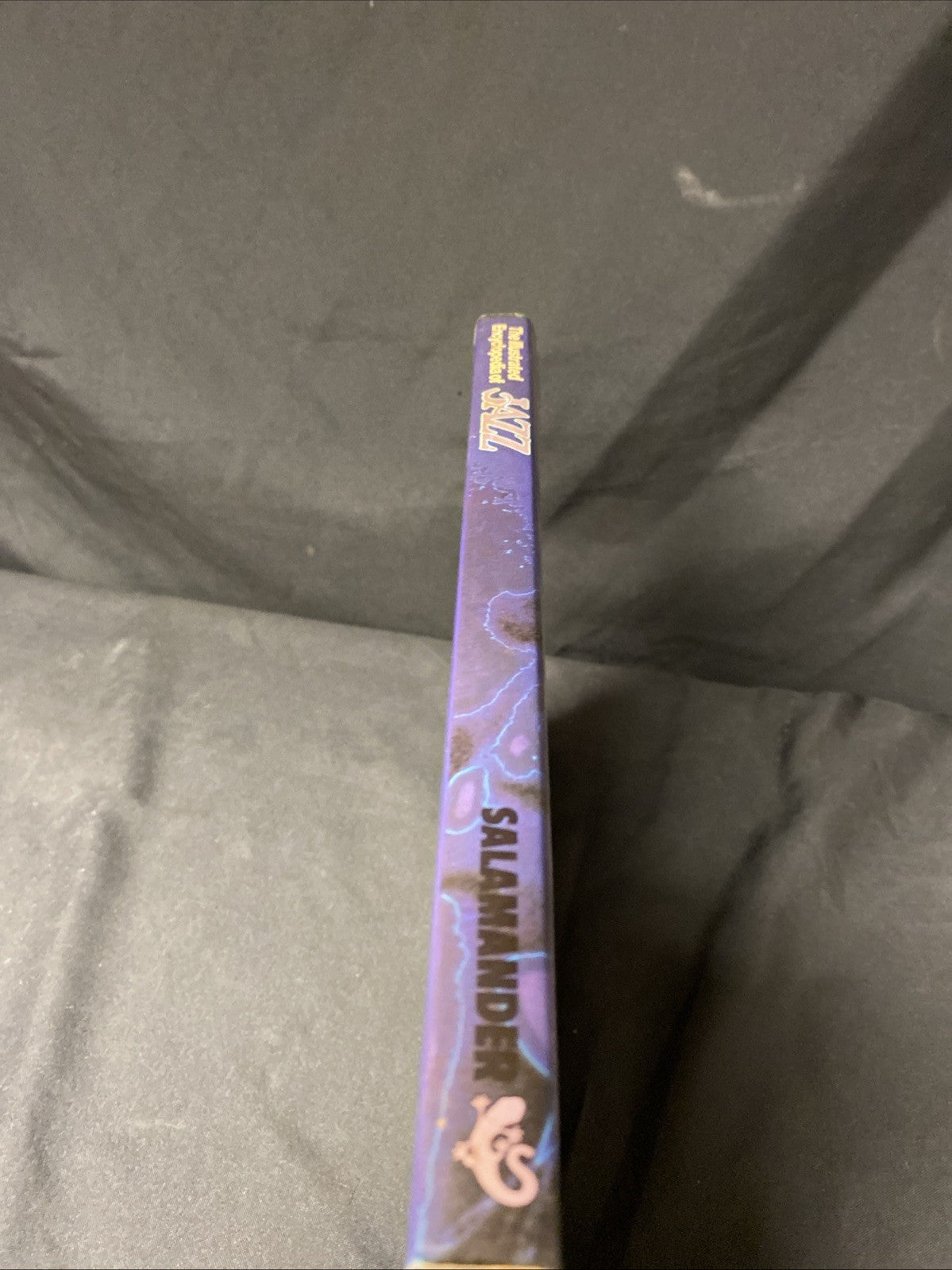 Book - The Illustrated Encyclopedia of Jazz - Case / Britt - 1978 (1520)