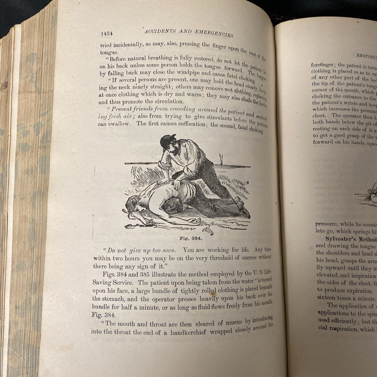 Kellogg THE HOME HAND-BOOK OF DOMESTIC HYGIENE & RATIONAL MEDICINE 1902 (5272)