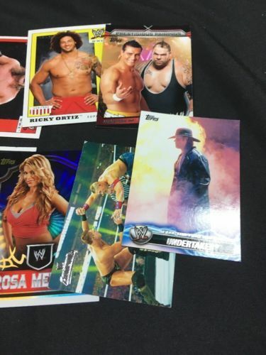 TOPPS 2011 Heritage cards x 12 Cards + Undertaker EE-1, Tazz, Ortiz, Studd (6343