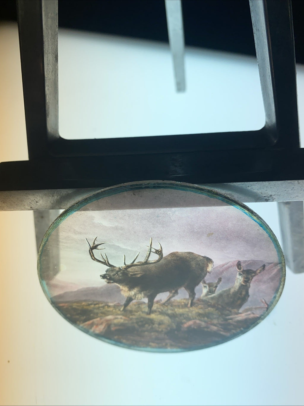 Magic Lantern Victorian Glass Round Handpainted Slide Stag and deers (1105)
