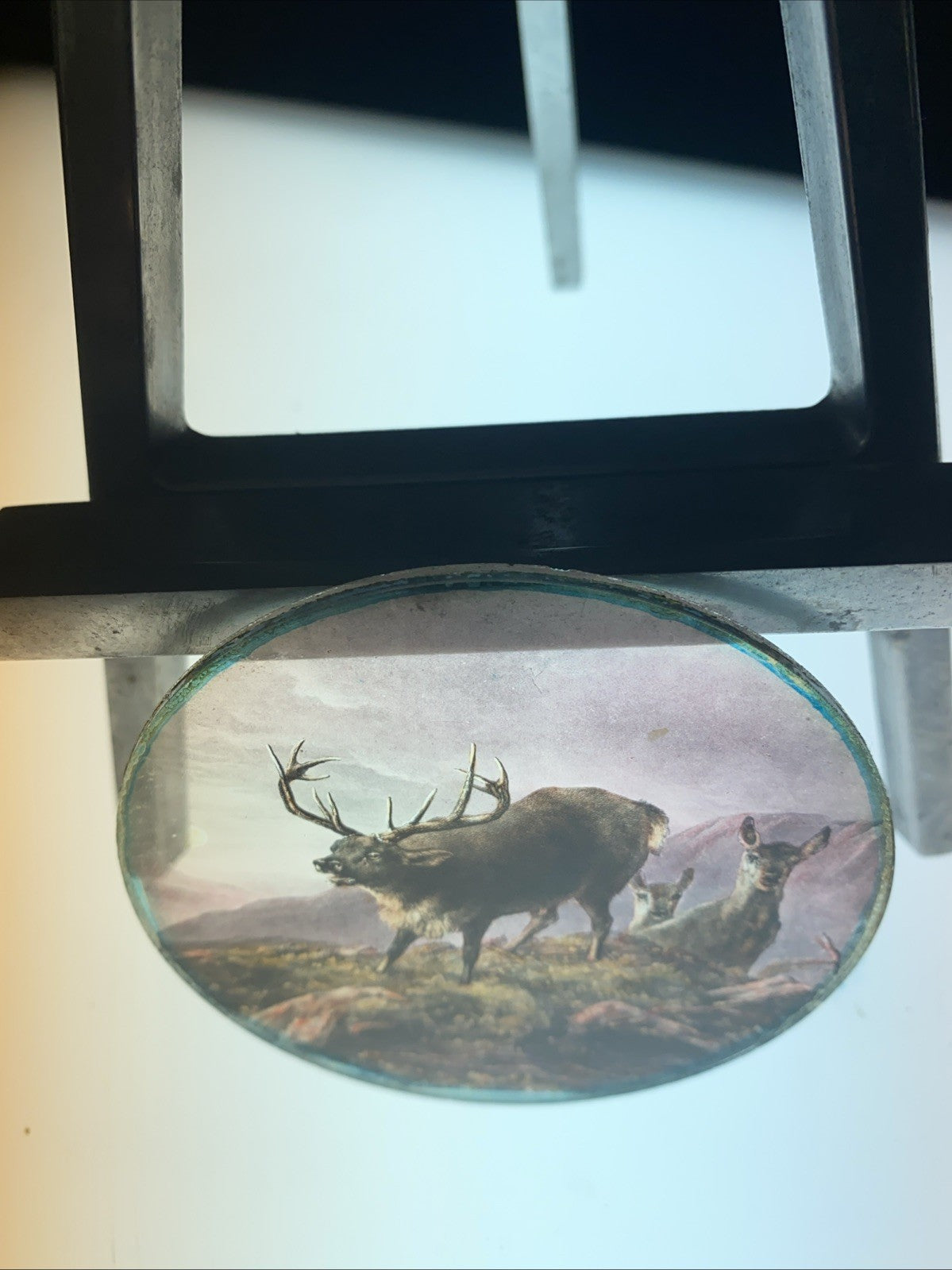 Magic Lantern Victorian Glass Round Handpainted Slide Stag and deers (1105)